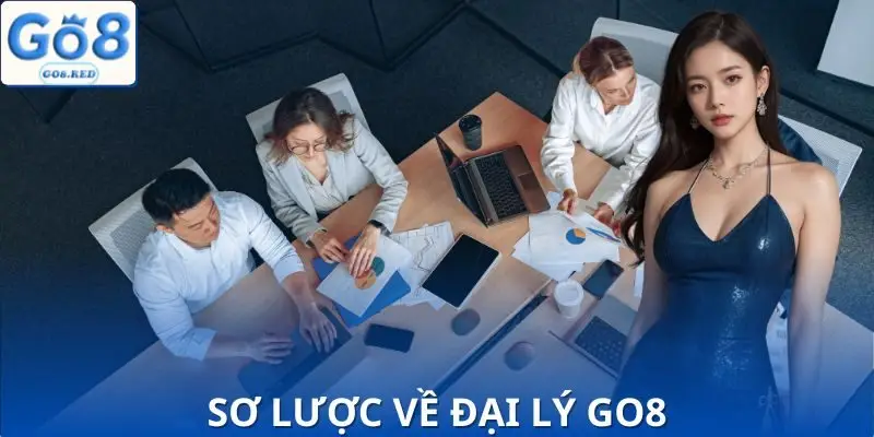 Đánh giá tình hình về đại lý GO8 hiện nay