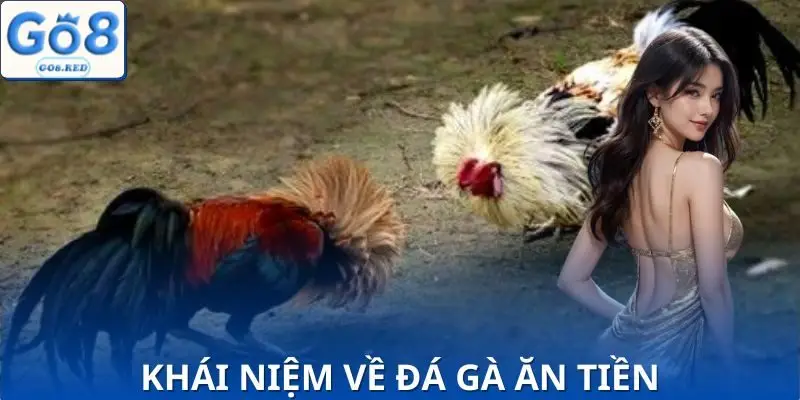 Giải thích rõ đá gà ăn tiền online