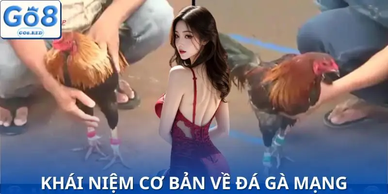 Sơ lược về đá gà mạng