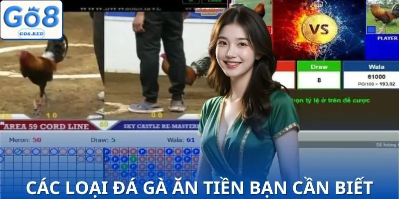 Thấu hiểu mọi loại đá gà ăn tiền